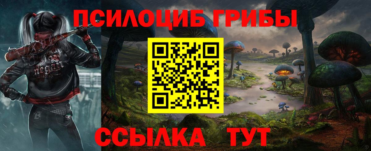 Галлюциногенные грибы Psilocybine cubensis  Вход с VPN  Нижний Новгород 